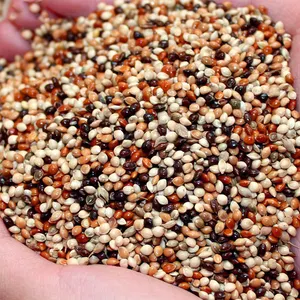 2.5Kg Wholesale Natural Mix Seed Bird Food Nutrition Health Blend Millet Parrot Wild Birds Seeds For Canary Finch