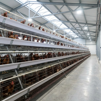 Équipement d'élevage de poulets commercial à bon prix, système de batterie automatique à 4 niveaux, cages à poulets pour la vente au Nigeria