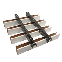 Faddish y Simple Bafle de aluminio Techo lineal Techo falso de metal suspendido para Lobby de hotel