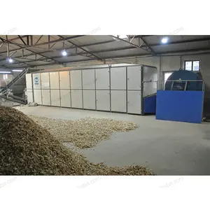 Commerical Onion Dehydrate Continue Drying Machine Dehydration Onion Dryer Machine