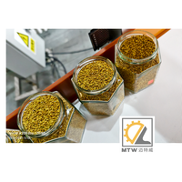 Machine d'emballage automatique MTW pour aliments en granulés, litière pour chat, argile bentonite, 5 kg, 10 kg, 15 kg, 20 kg, 25 kg