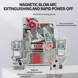 CHRMSHDG 开关交流断路器 DZ30-32 主开关直流断路器 LANGTONG ELECTRIC - Product Image 2
