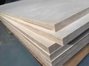 Contrachapado de Abedul de <span class=keywords><strong>Alta</strong></span> Calidad de 12 mm y 18 mm, <span class=keywords><strong>Madera</strong></span> Contrachapada de Abedul para Muebles - Product Image 3