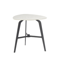 Table d'appoint d'angle moderne et simple pour la maison, la salle à manger, le balcon, le canapé ou comme table basse à thé ou à café, en métal durable, meubles en fer