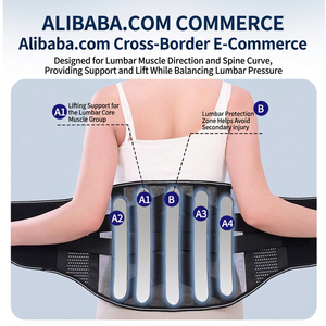 Cinturón de Soporte Lumbar Extra Ancho con Placa de Acero Doble, Soporte para la Espalda Baja para Fitness, Running y Yoga - Product Image 3