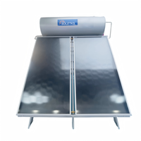 Chauffe-eau solaire à plaque plate haute efficacité 300L, système compact pressurisé, économie d'énergie, usage domestique extérieur, eau pour la famille