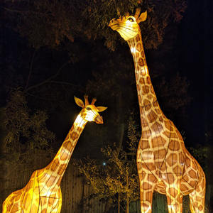 SGLF06 décoration extérieure lanterne ailes d'ange lanterne en soie festival pour photo Interactive - Product Image 3