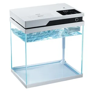 Small glass fish tank with light filter pump ecological aquarium Desktop fish tank for home office decoration