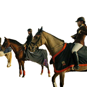 Estructura de Acero Ligero sin Viga de Metal para Arena de Equitación Interior, Diseño Soldado de la Marca Herbert, Corte y Doblado de Estructuras Metálicas Prefabricadas - Product Image 1