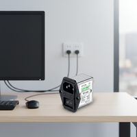 Filtre EMI/RFI enfichable VIIP WeiAiPu VIP1-1E-10 10A 110VAC 250VAC Monophasé Prise IEC avec Fusible
