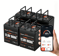 Baterai LiFePO4 Semi-Solid 12.8V 100Ah Pemanas Otomatis Kustom Pabrik, Ukuran Mini Bluetooth untuk RV, Kapal Laut, Golf Cart, dan Solar