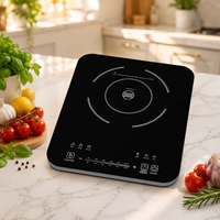 Mini-cuisinière à induction portable pour la maison et l'hôtel, réchaud électrique avec panneau en verre pour camping-car, petit appareil électroménager