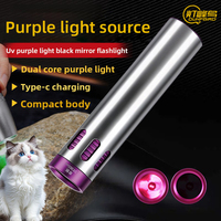 Detector de Manchas Portátil con Luz UV de 365nm, Recargable por USB, con Filtro M5-10W, Clasificación IP55, Esencial para Viajes, Inspección de Higiene en Hoteles