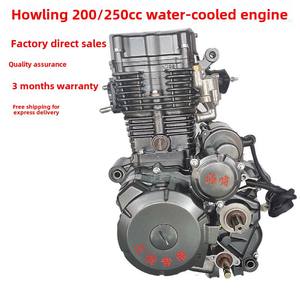 Nuevo Motor de Triciclo Tsunami de 250cc <span class=keywords><strong>200cc</strong></span>, Doble Refrigeración por Agua, 4 Tiempos, Encendido CDI, Arranque Eléctrico, para ATV y Motocicleta - Product Image 6