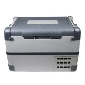 28L EVERCOOL DC 12V 24Vportable Kulkas Lemari Es Freezer Tegak Display Elektronik Jiayuan