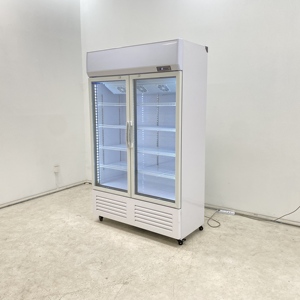 Réfrigérateur à boissons Réfrigérateur vertical <span class=keywords><strong>Porte</strong></span>-bouteille de bière Vitrine Réfrigérateur à boissons - Product Image 5