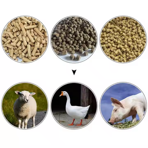Nuova macchina per alimenti per animali domestici lavorazione <span class=keywords><strong>Pellet</strong></span> di pollo Cheep e bovini mangime <span class=keywords><strong>Pellet</strong></span> stampo di doppio estrusore <span class=keywords><strong>a</strong></span> vite - Product Image 5