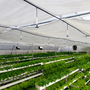 ตาข่ายพลาสติกถักสีขาวสำหรับบังแดดในโรงเรือนพร้อมบริการตัด - Product Image 1