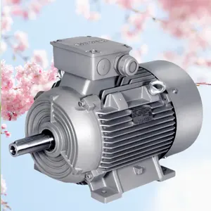 Hohe Qualität in chinesischen Fabriken IE2 IE3 IE4 IE5 Teile Siemens Motor Original