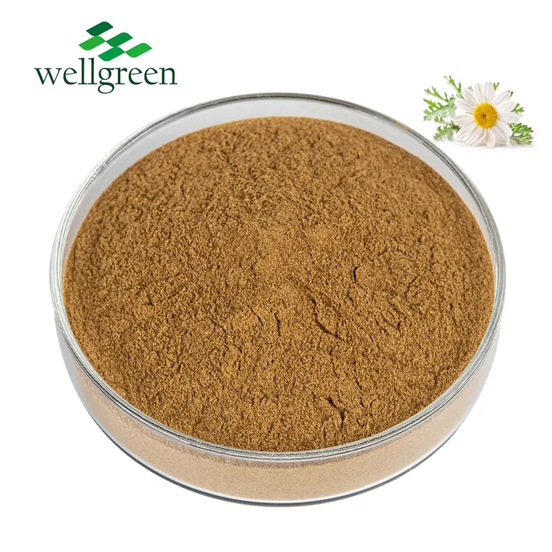 Wellgreen Herbal Extract Bulk Price Extrato De Camomila De Apigenina Orgânica Seca