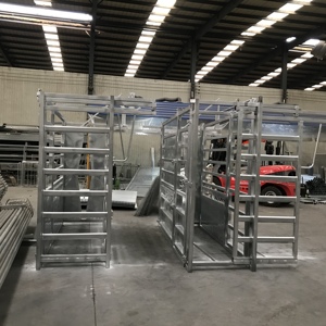 Fabrik Schlussverkauf Hochleistungsstahl Rindercrush Rinderquetschschutzhülle Lagerhof zu verkaufen - Product Image 1