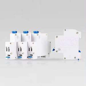 DPN tek kutuplu DZ30 kalıplı kasa devre kesiciler 1P + N 6-32A 2P elektrik AC/DC aşırı yük koruma anahtarı - Product Image 3