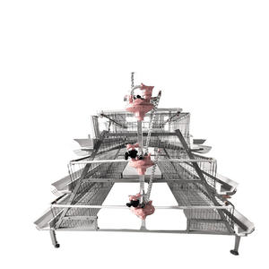 Yumurta tabakası tavuk kanatlı çiftliği için bir tip pil tabakası tavuk kafesi yetiştiriciliği tavuk kafesi <span class=keywords><strong>roost</strong></span> kafes - Product Image 1