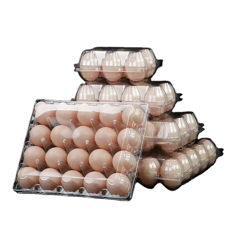 도매 모양의 플라스틱 계란 홀더 염색 트레이 공예
