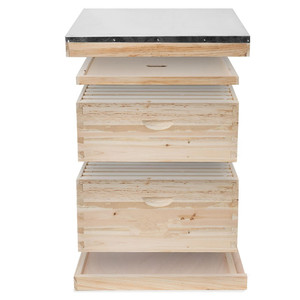 Matériel d'apiculture, ruche en bois à 8 et 10 cadres, ruche Langstroth complète pour apiculteur - Product Image 1