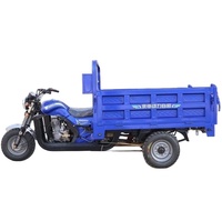 Motocyclette avec side-car, carrosserie ouverte motorisée, moteur monocylindre à essence, haute puissance 1000W+