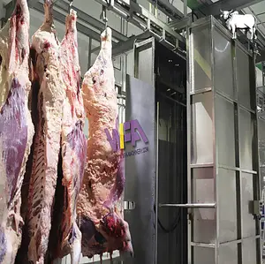 WFA İnek Abattoir ekipmanları sığır karkas çamaşır makinesi sığır kesim ev