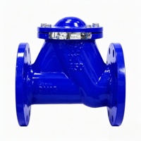 Katup Penutup Lambat, PN10 Besi Ulet, 2in-12in, OEM, Segel NBR/EPDM, Sistem Suplai Air & Pemanas