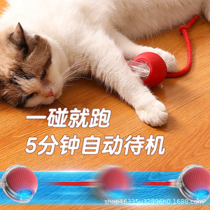 Balle de jeu pour chat, roule automatiquement avec corde, jouet interactif pour animaux de compagnie, pour chats - Product Image 1