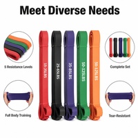 7 Bandas de Resistencia con Anclaje para Puerta, Bolsa de Transporte, Bandas de Ejercicio de Látex para Adultos, Entrenamiento de Fuerza en Casa, Ejercicio de Cuerpo Completo