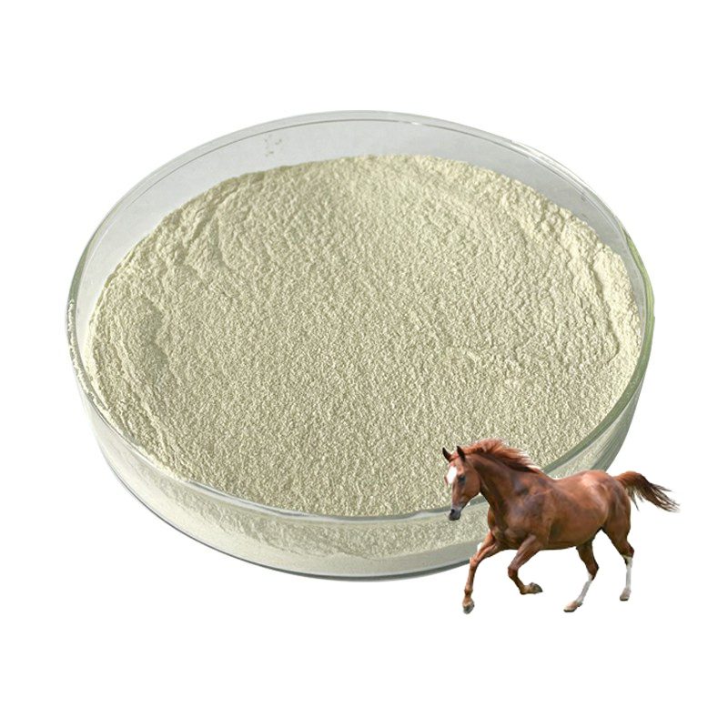 Производитель добавочных добавок ксиланазы