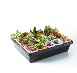 Pots <span class=keywords><strong>de</strong></span> pépinière pour plantes d'extérieur, plateau <span class=keywords><strong>de</strong></span> semis en plastique, robuste, pour pépinière <span class=keywords><strong>de</strong></span> <span class=keywords><strong>jardin</strong></span> - Product Image 3