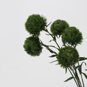 Clavel verde flor artificial goma suave Bola <span class=keywords><strong>de</strong></span> cebolla sensación hidratante Bola <span class=keywords><strong>de</strong></span> <span class=keywords><strong>Pelo</strong></span> planta paisaje decoración flor - Product Image 5