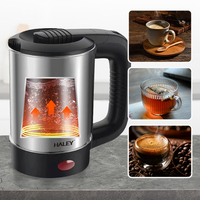 Bouilloire Électrique de Voyage HALEY 500ml 250W en Acier Inoxydable 304, Mini Portable avec Prise à Deux Broches, 2 Tasses, Arrêt Automatique, Maintien au Chaud