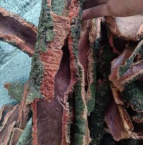 Yang Mei Pi ป่าแห้ง Myrica Cerifera เปลือกชิ้น Bayberry เปลือกสำหรับสมุนไพร - Product Image 4