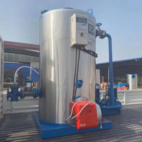 Generator Uap Vertikal Tabung Api Otomatis Berbahan Bakar Gas Alam LHS 100kg-1000kg Tekanan Rendah untuk Penggunaan Industri