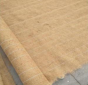 Coconut Coir Mat Natural Fiber <strong>Geotextile</strong> <strong>Jute</strong> Slope Stabilization <strong>Geotextile</strong> - Product Image 1
