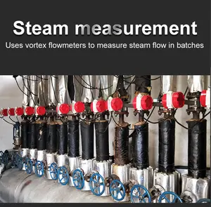 Vortex Flow Meter Dn50 For Steam Application Digital Inline Mechanical Compressed Air Flow Meter
