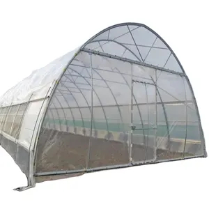 Serre en film plastique pour l'agriculture/la ferme/multi-spans/simple-span/tunnel pour les légumes/fleurs/tomates/jardins - Product Image 1