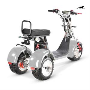 Tricycle électrique et solaire à écran LCD de 60V, 10 pouces, <span class=keywords><strong>125cc</strong></span>, moto à <span class=keywords><strong>3</strong></span> <span class=keywords><strong>roues</strong></span>, <span class=keywords><strong>scooter</strong></span> à <span class=keywords><strong>3</strong></span> <span class=keywords><strong>roues</strong></span>, 2000W, vente à chaud - Product Image 6