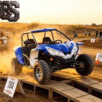 Buggy de plage Raxen 2 places 300cc à transmission par arbre pour usage récréatif et course