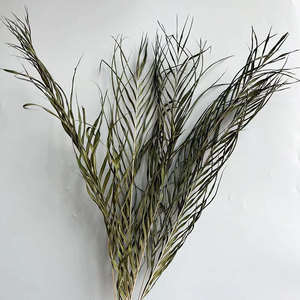 ดอกไม้จริงสำหรับตกแต่งงานแต่งงานใบไม้ต้นปาล์มอาเนก้าแห้ง2026 - Product Image 1