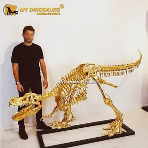 My Dino AA645 Life Size Golden Dinosaur Skeleton Trex for Exhibit