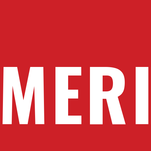 Weifang Merily Industry Co.,Ltd logo