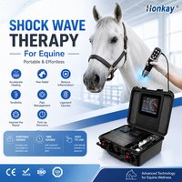 Système de récupération par ondes de choc pour chevaux, équipement de relaxation par ondes de choc pour chevaux de course