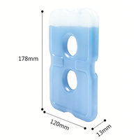 Vente en gros d'usine Blocs de glace réutilisables fins pour congélateur Blocs de glace pour boîte à lunch Packs de congélation